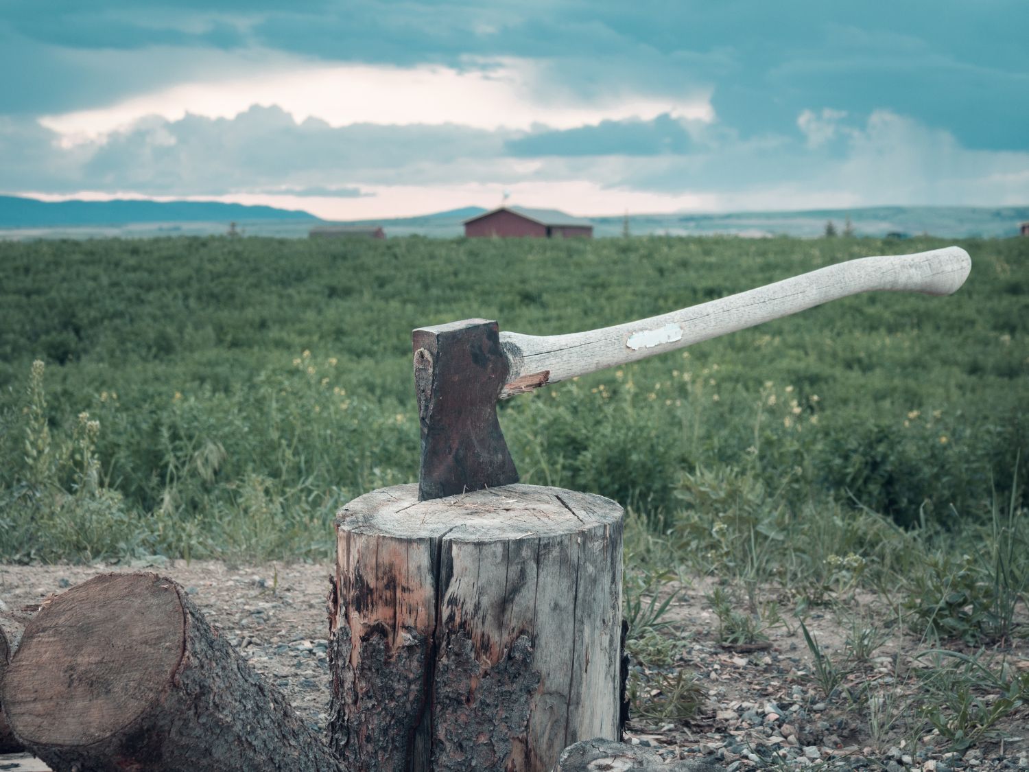 A photo of an axe in a log with a homestead in the background