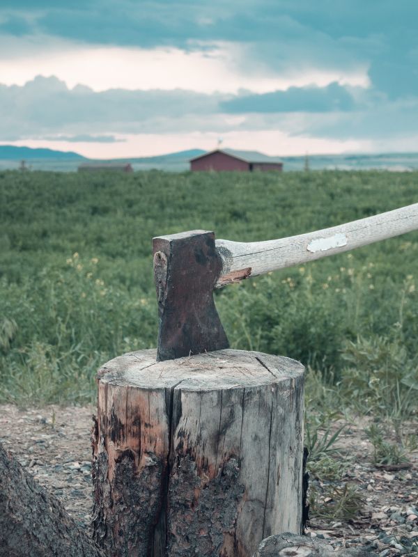 An axe stuck in a log with a homestead in the background