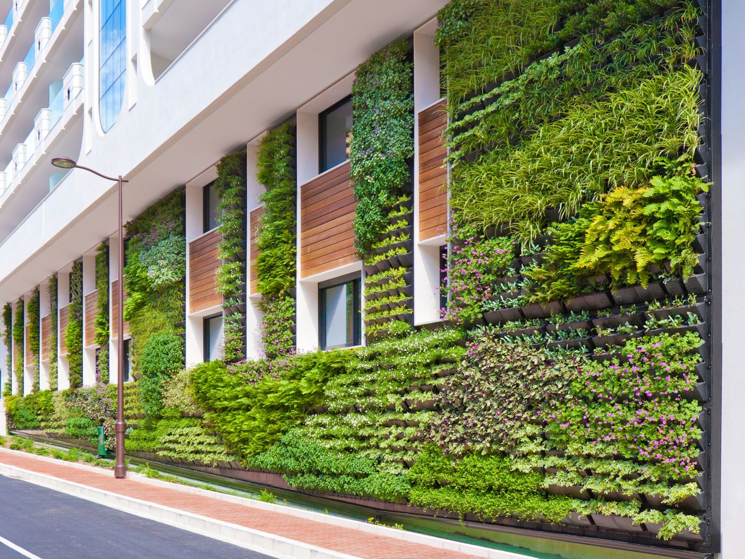 A photo of a large vertical garden growing up a building in an urban location