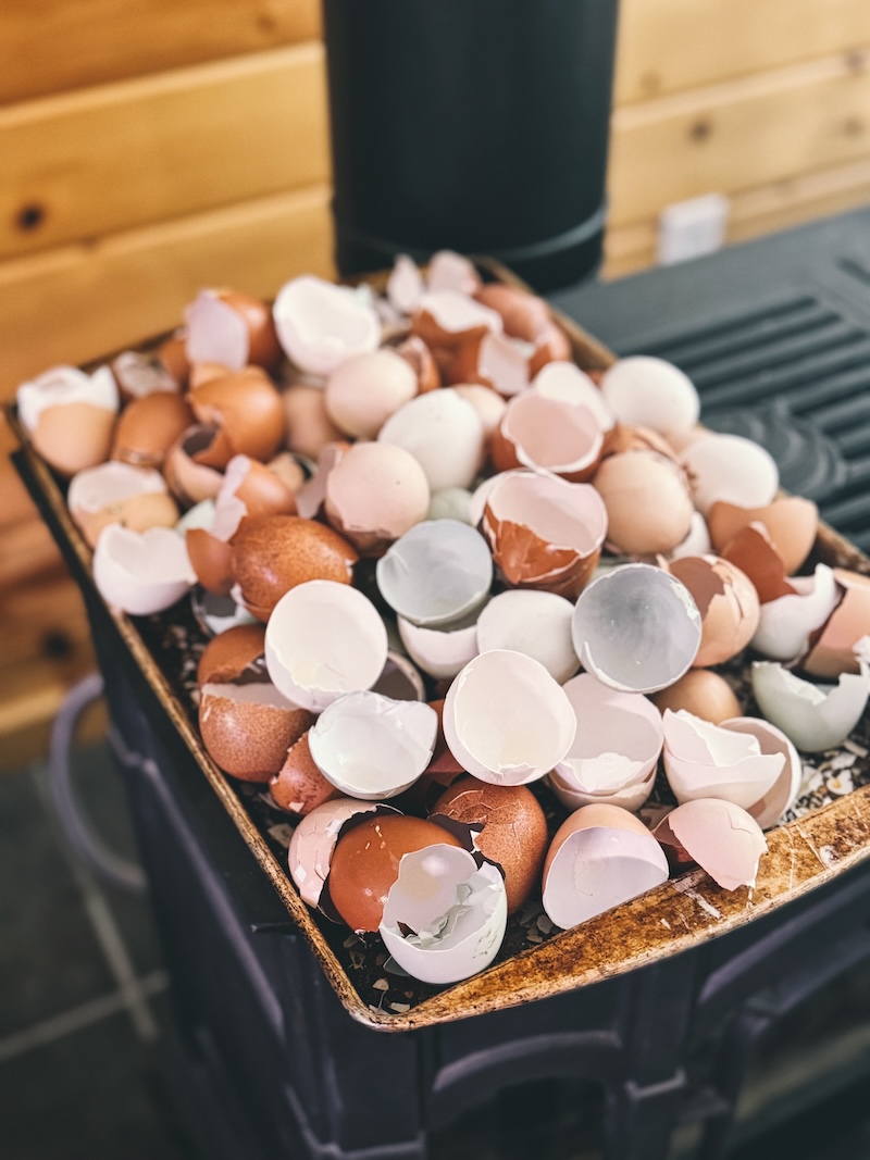 A baking sheet full of eggshells on top of a wood stove