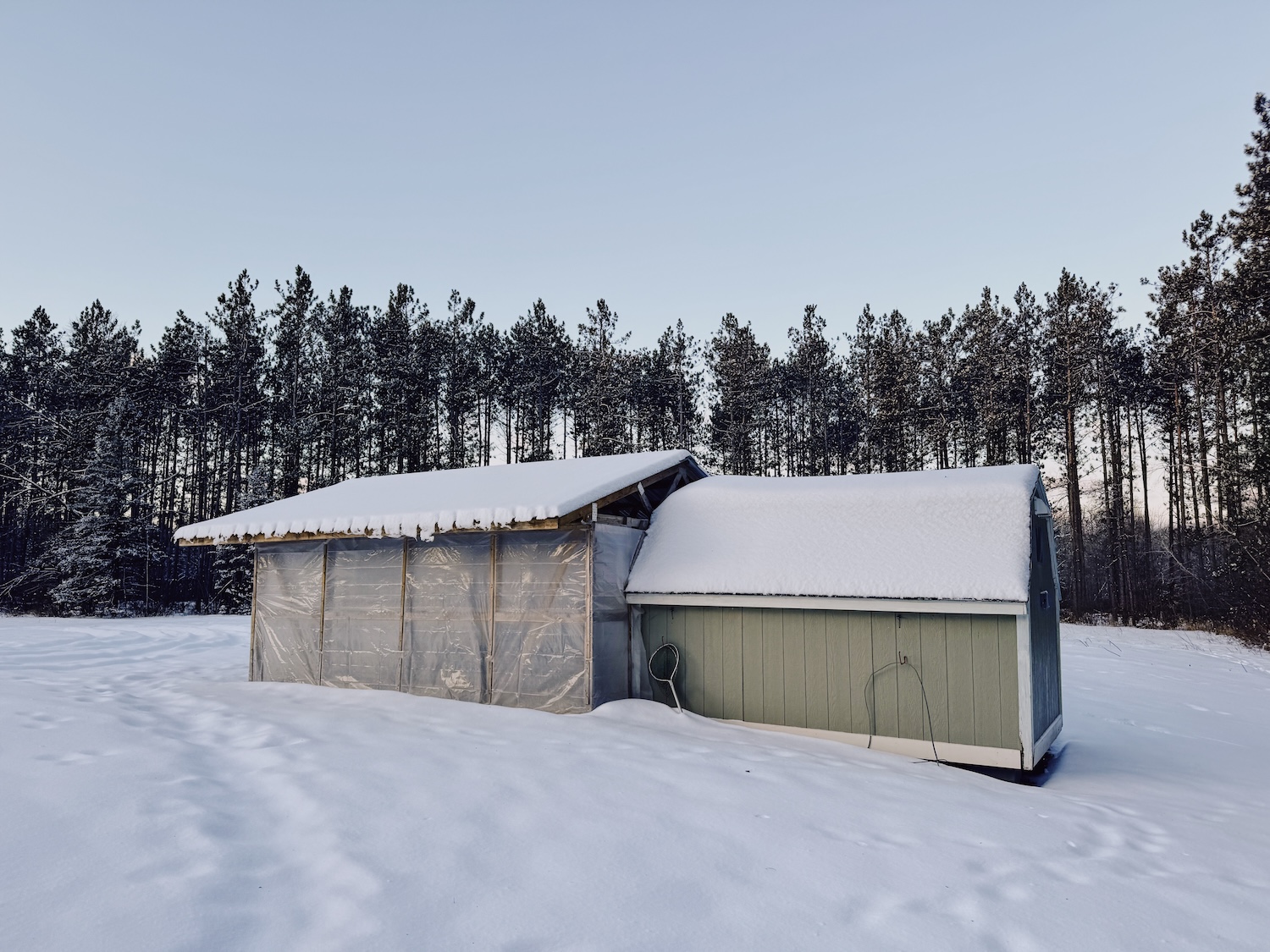 A photo of a chicken coop with a covered run from a distance. It's winter with lots of snow on the ground.