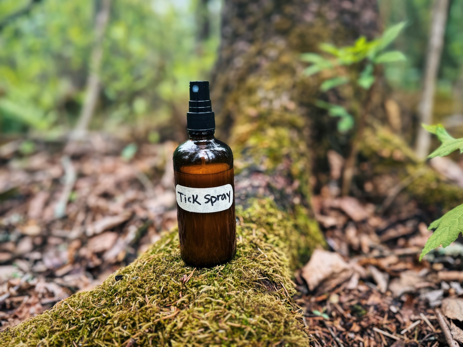 A bottle of homemade essential oil tick repellent sitting on a moss covered tree root