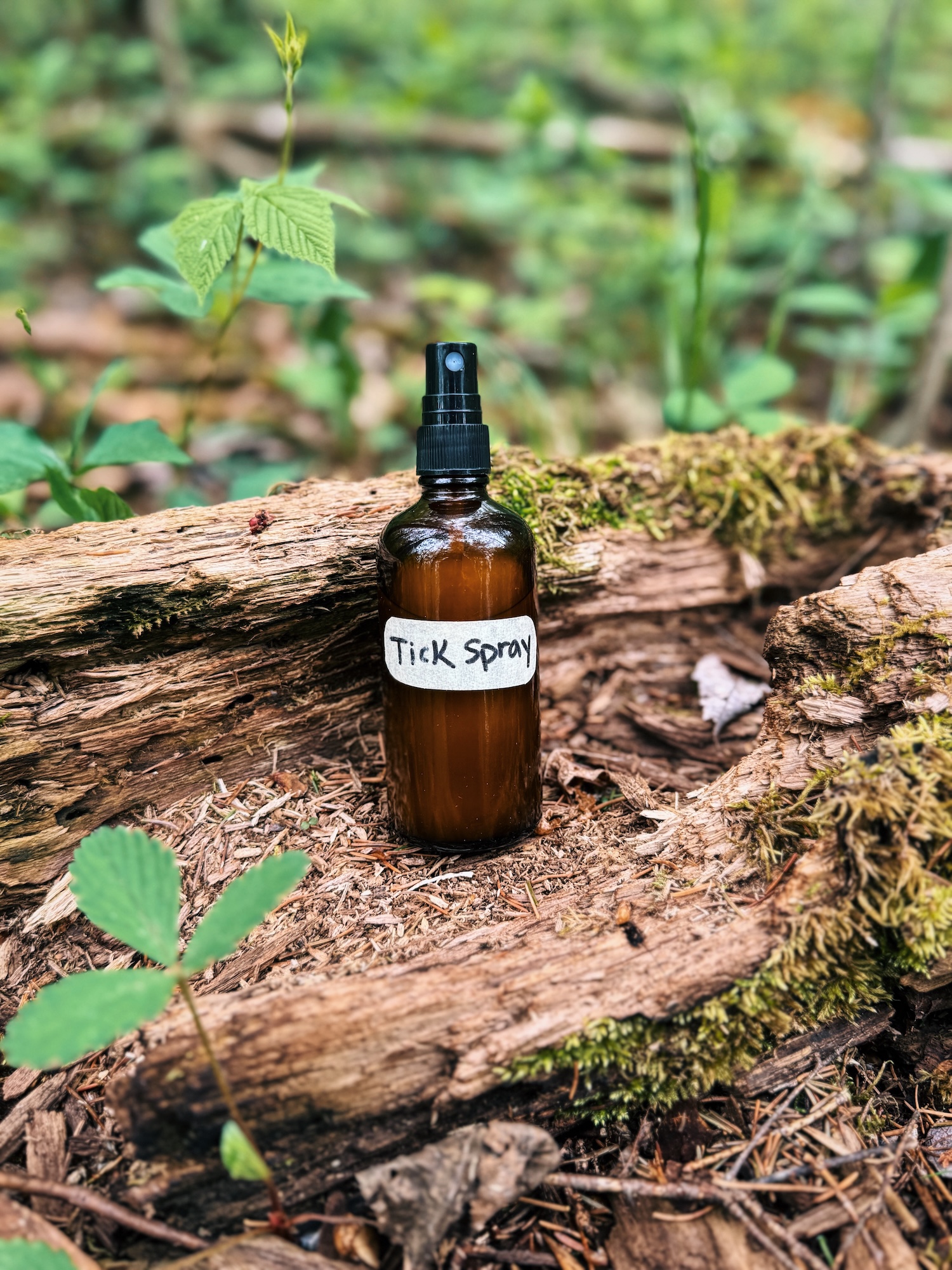 A bottle of DIY essential tick repellent spray sitting on a half rotted log in the woods