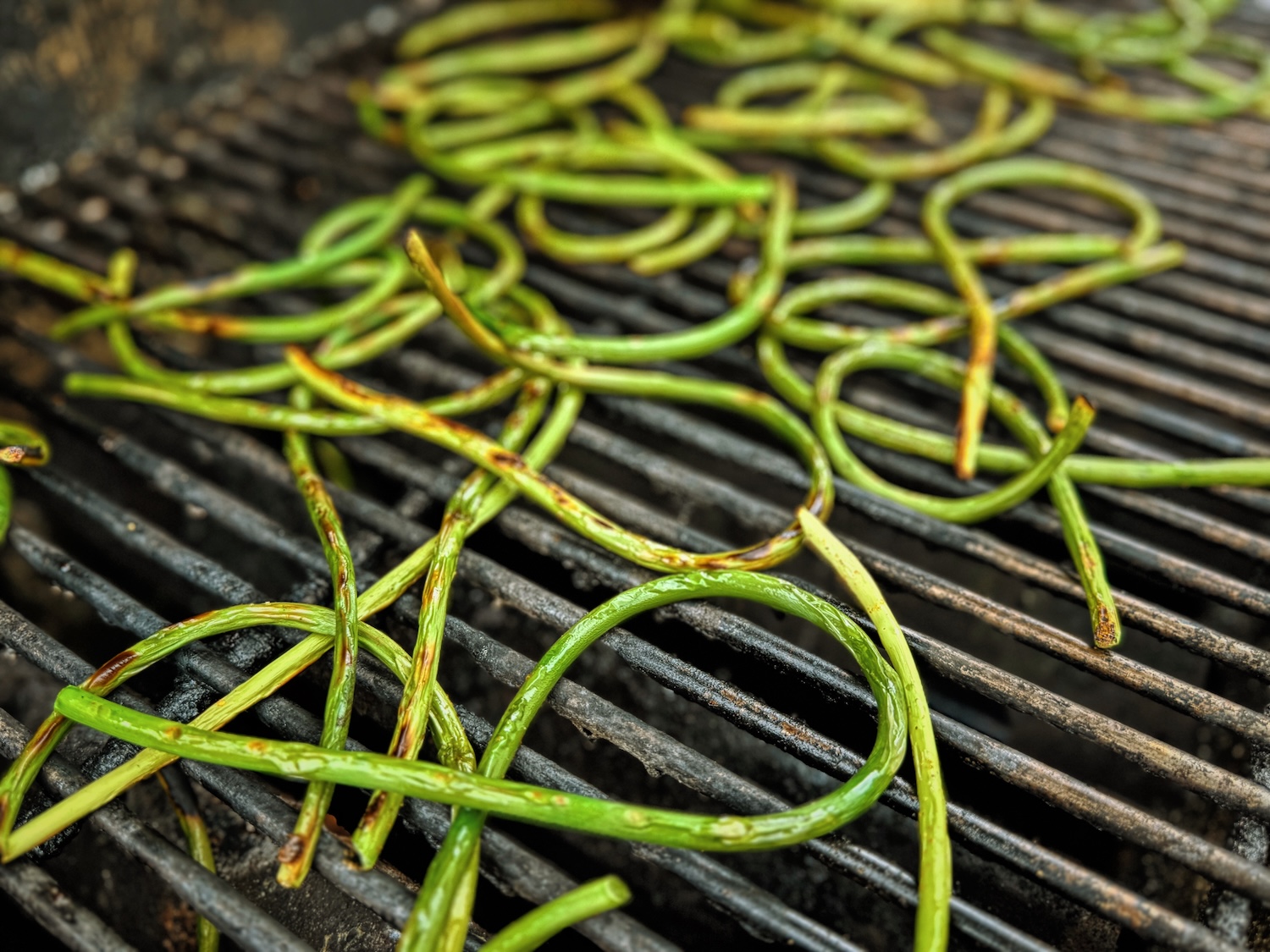 Garlic scapes are spread over a hot grill, then are slightly charred and ready to eat