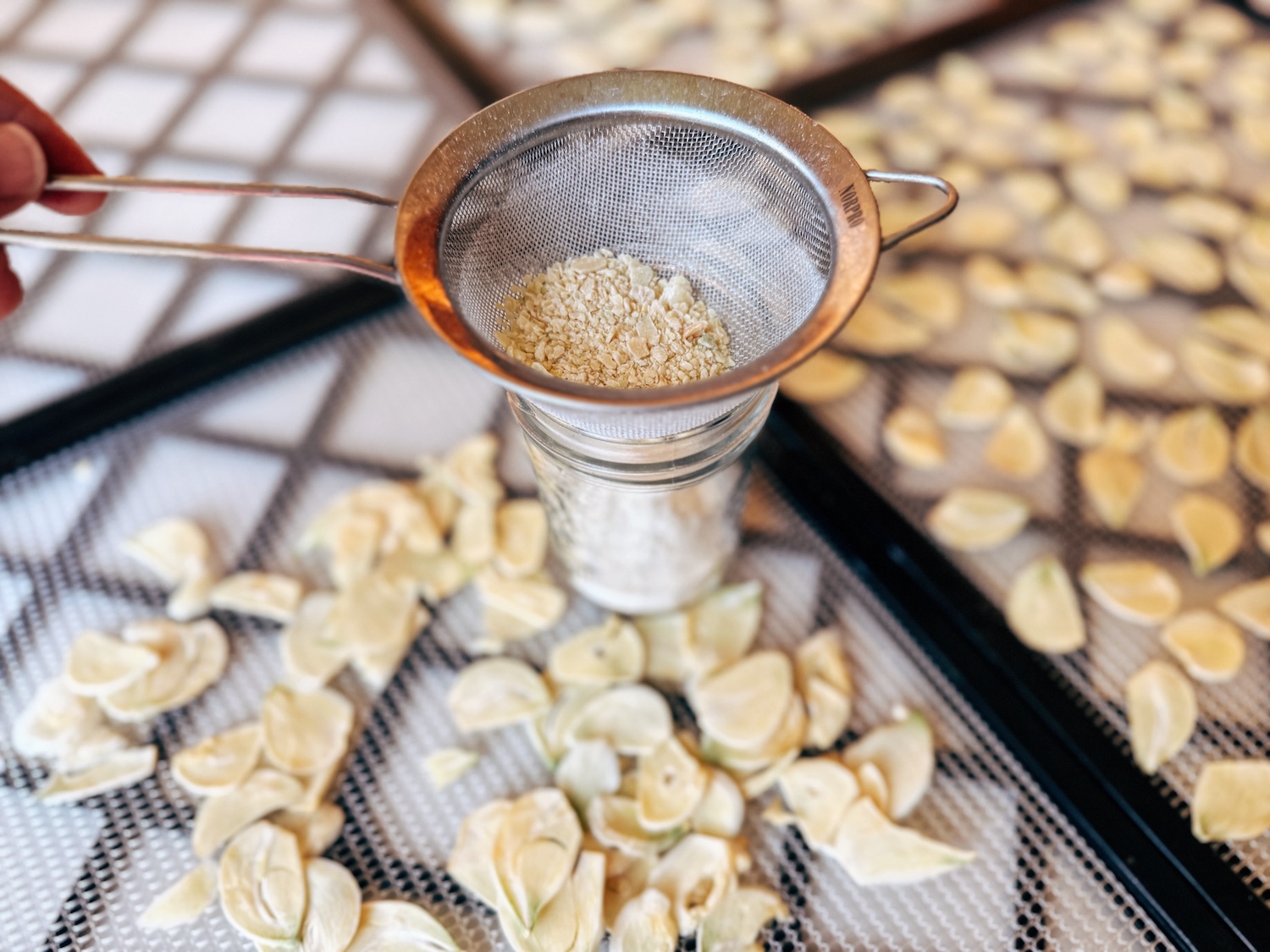 Straining freshly blended garlic powder through a mesh strainer with slices of dehydrated garlic on dehydrator trays in the background
