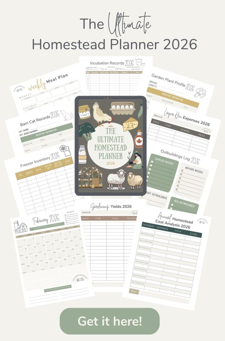 The Ultimate Beginners Guide to Homesteading (5 Steps!)